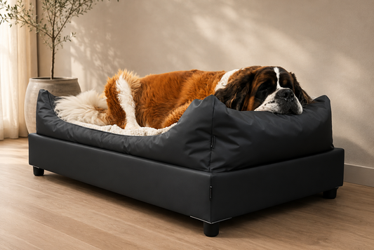 XXL hondenbedden