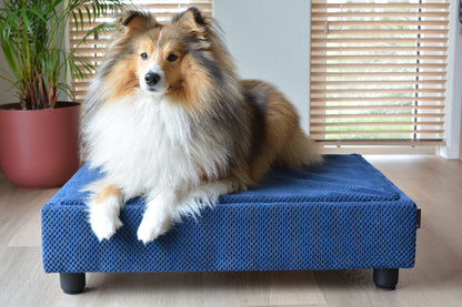 Medium hondenbedden