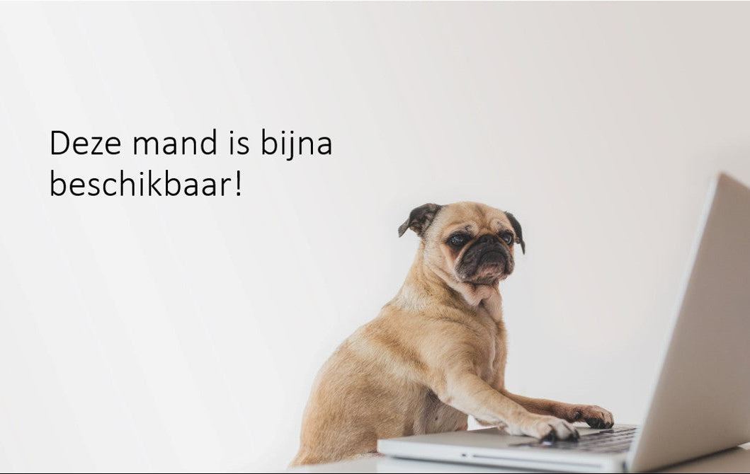 Hondenbed op poten kunstleer zwart / taupe