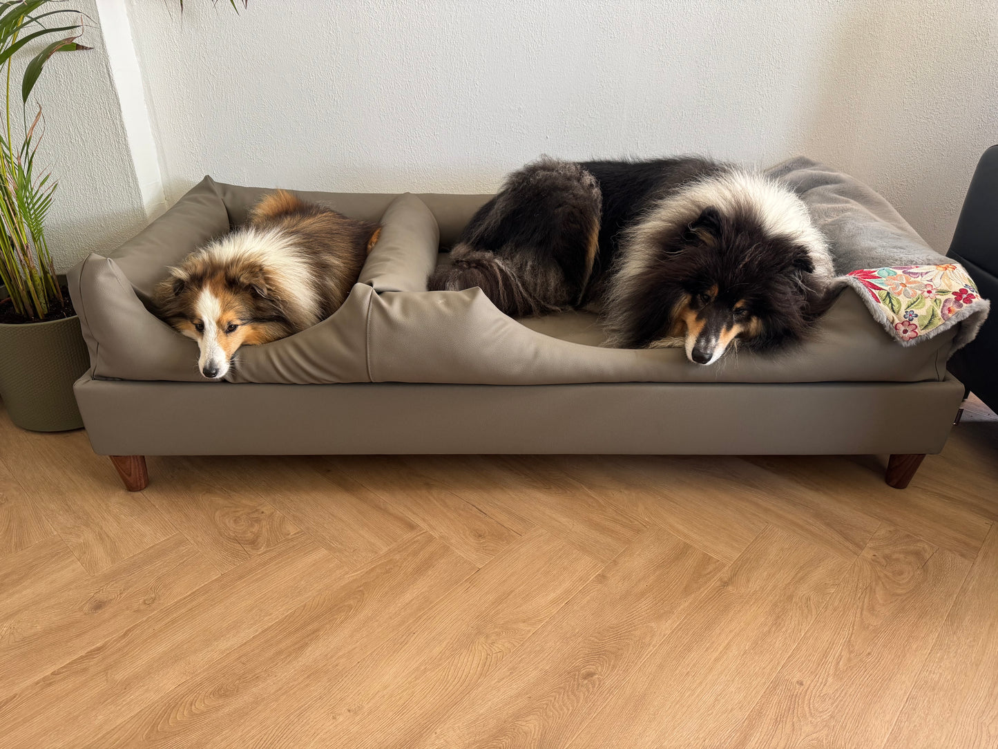 Custom dog bed