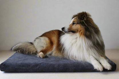 Dog cushion size Medium (M)