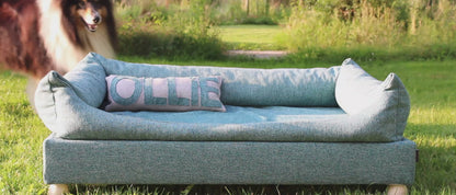 Ollie met zijn XL blauw geweven bed