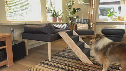Vensterbank Hondenmand